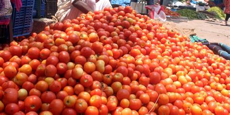 Tomato Price Sees Slight Dip Beans Price Cross Rs 100 Mark Per Kg