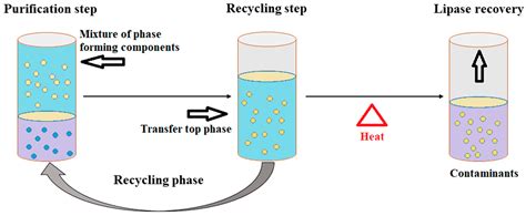 Microorganisms Free Full Text The Recent Advances In The Utility Of