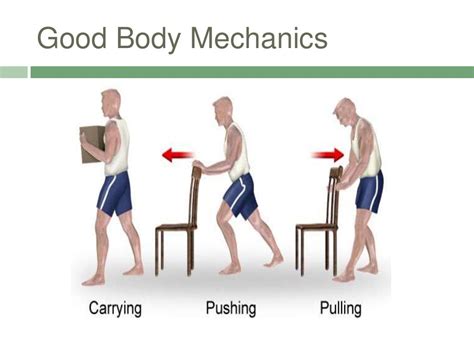 Module 1 Body Mechanics And Lifting