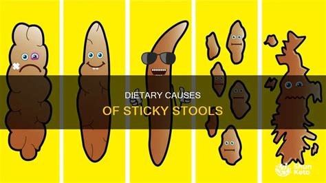 Dietary Causes Of Sticky Stools | ShunKeto