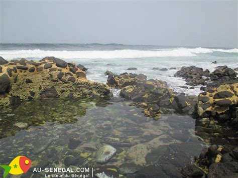 Évadez vous sur lîle de Ngor Au Sénégal le cœur du Sénégal