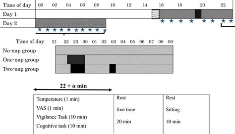 Schematic Of The Study Protocol And Experimental Schedule Each Row In