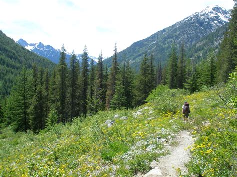 Bridge Creek (Pacific Crest) Trail - North Cascades National Park (U.S. National Park Service)