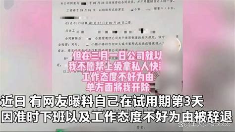 上海一女子试用期第3天因准时下班、说态度不好被辞退引发关注 千里眼视频 搜狐视频