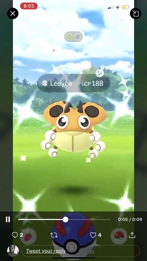 "New bug, Shiny Ledyba." - Pokemonger