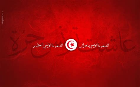 Tunisia Flag Wallpapers - Top Free Tunisia Flag Backgrounds ...