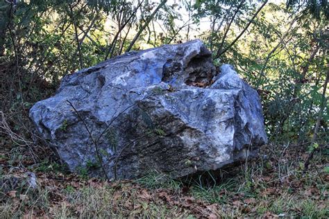 Felsen Wald Kostenloses Foto Auf Pixabay Pixabay