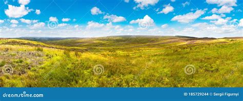 Fields of Heather in Scotland Stock Photo - Image of landscape, meadow ...