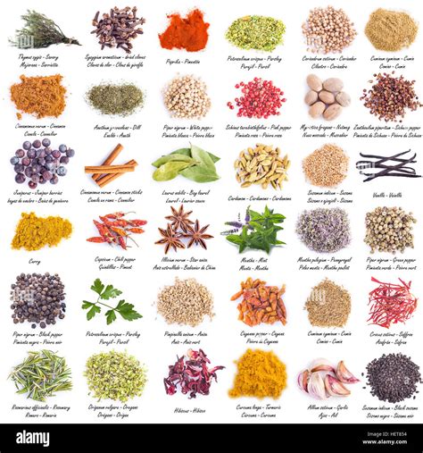 Indian Spices Names In English