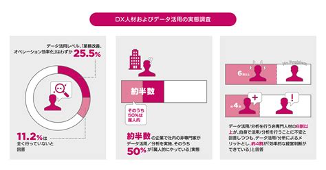 Dx人材およびデータ活用の実態を調査日本のdxを阻むものは何なのか？日本企業のデータ活用の平均レベルも明らかに｜法人携帯とテレワークの Mwp