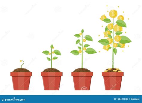 Growing Money Tree Stages Of Growing Stock Vector Illustration Of