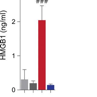 Hypothermia Reduces Ischemic Infarct Volume In Mcao Rats A An