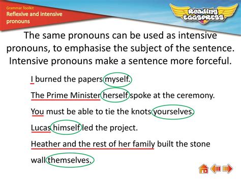 Examples Of Reflexive And Intensive Pronouns