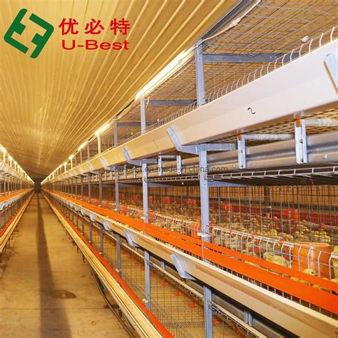 Automatic Poultry Farm Equipment Broiler Cage For Sale China Broiler