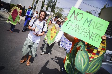 Hay Que Ver Qui Nes Ganan Por Acabar Con La Vida Integrante Sin