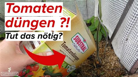 Tomaten düngen Ja oder Nein Müsst ihr eure Tomaten düngen oder