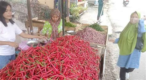 Harga Cabai Di Kota Jambi Makin Pedas Cabai Merah Rp 80 Ribu Rawit Rp