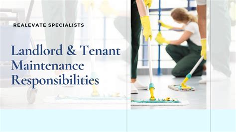 Maintenance Responsibilities For Tenants Landlords