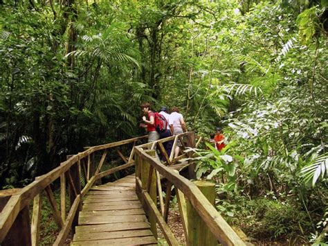 Mombacho Naturreservat Och Canopy Adventure Getyourguide