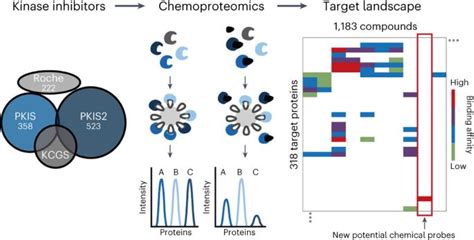 Hannes Hahne on LinkedIn: Chemical proteomics reveals the target ... 