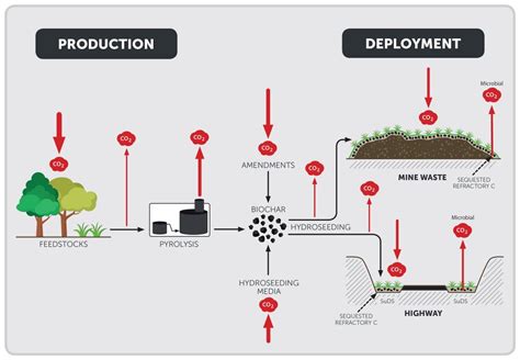 Biochar Role In Carbon Sequestration Terraffix Soil Solutions Ltd