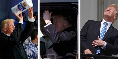 The 12 best Trump memes of 2017 - Business Insider