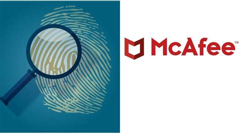 Mcafee S New Scam Protection Uses Ai To Halt Scams On The Fly India Tv