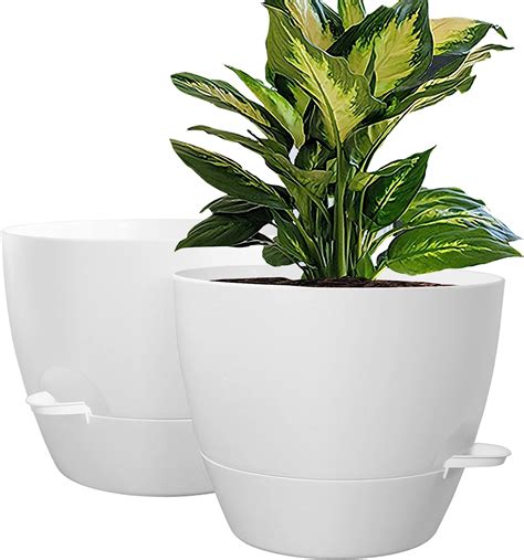 Amazon Wousiwer Inch Self Watering Planters Pack Large