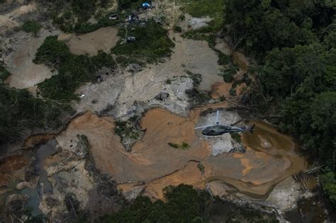 Garimpeiros S O Mortos Em Confronto Prf E Ibama Em Terra Yanomami