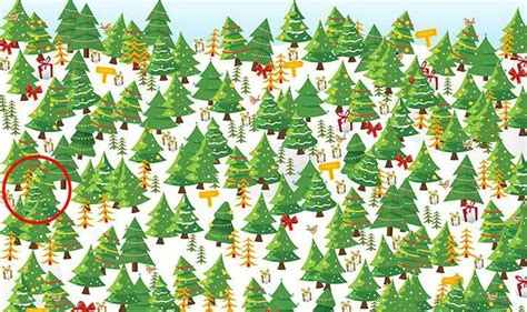 Optical Illusion Can You Find The Hidden Star Among Christmas Trees