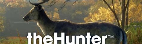 Thehunter Call Of The Wild Archive Polyradar