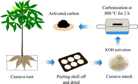 Schematic Preparation Of Activated Carbon Derived From Cassava Starch Download Scientific Diagram