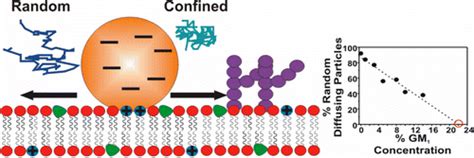 Single Plasmonic Nanoparticle Tracking Studies Of Solid Supported