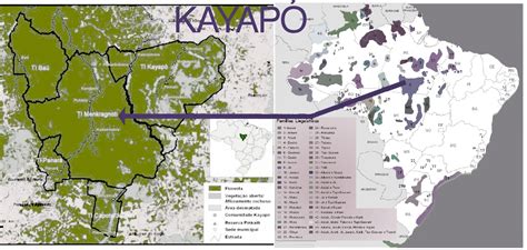 Povos Indígenas Brasileiros Kayapó