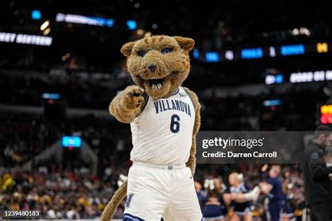 Villanova Wildcats Mascot Photos and Premium High Res Pictures - Getty ...