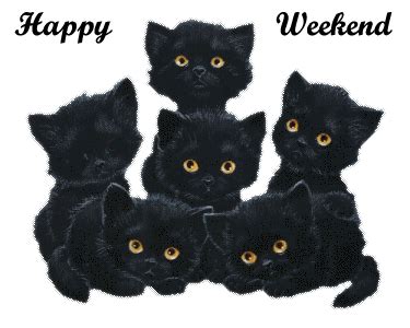 Funny Cat Pictures » Happy Weekend