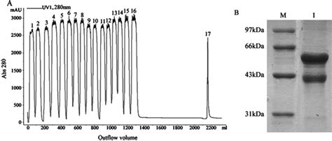 Purification of target protein by amylose resin chromatography Proteins ...