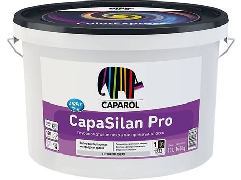CapaSilan Pro (КапаСилан Про): глубокоматовая водно-дисперсионная ...