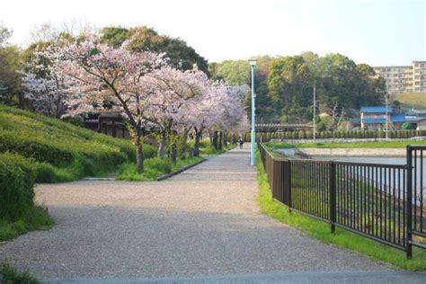 戸笠公園（愛知県名古屋市） Parkful公園をもっと身近に、もっと楽しく。