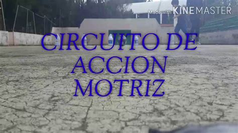 Circuito De Accion Motriz Educacion Fisica Youtube