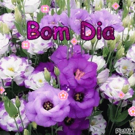 Dia Bom Dia GIF - Dia Bom Dia Flowers - Discover & Share GIFs