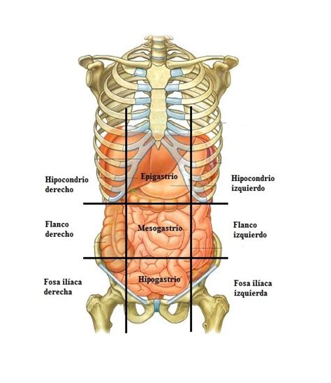 Urgencias Y Emergencias Extrahospitalarias Regiones Abdominales