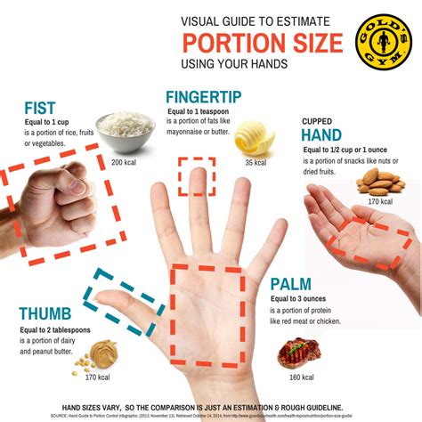 Understanding Portion Control - The Knowledge Alchemist