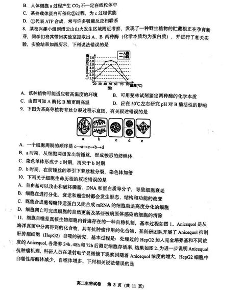 重庆市巴蜀中学2022 2023学年高二生物上学期第一次月考试题（pdf版附答案） 教习网试卷下载