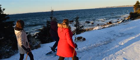 Conception Bay South Offers Top Trail Destination Town Of Conception