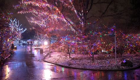 Christmas Lights Columbus Zoo Wildlights 2021 – Best Christmas Lights 2021