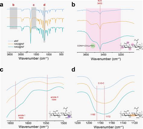 Electrospun Nanofibrils Surface Decorated With Photo Cross Linked