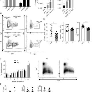 Loss Of MiR 221 222 Decreases The Number Of Plasma Cells PCs And IgE