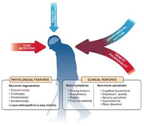 Current Views Of The Etiology And Pathology Of Parkinsons Disease Download Scientific Diagram