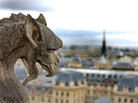 Gargoyle in the Church of Notre Dame Stock Photo - Image of gothic, europe: 246756222